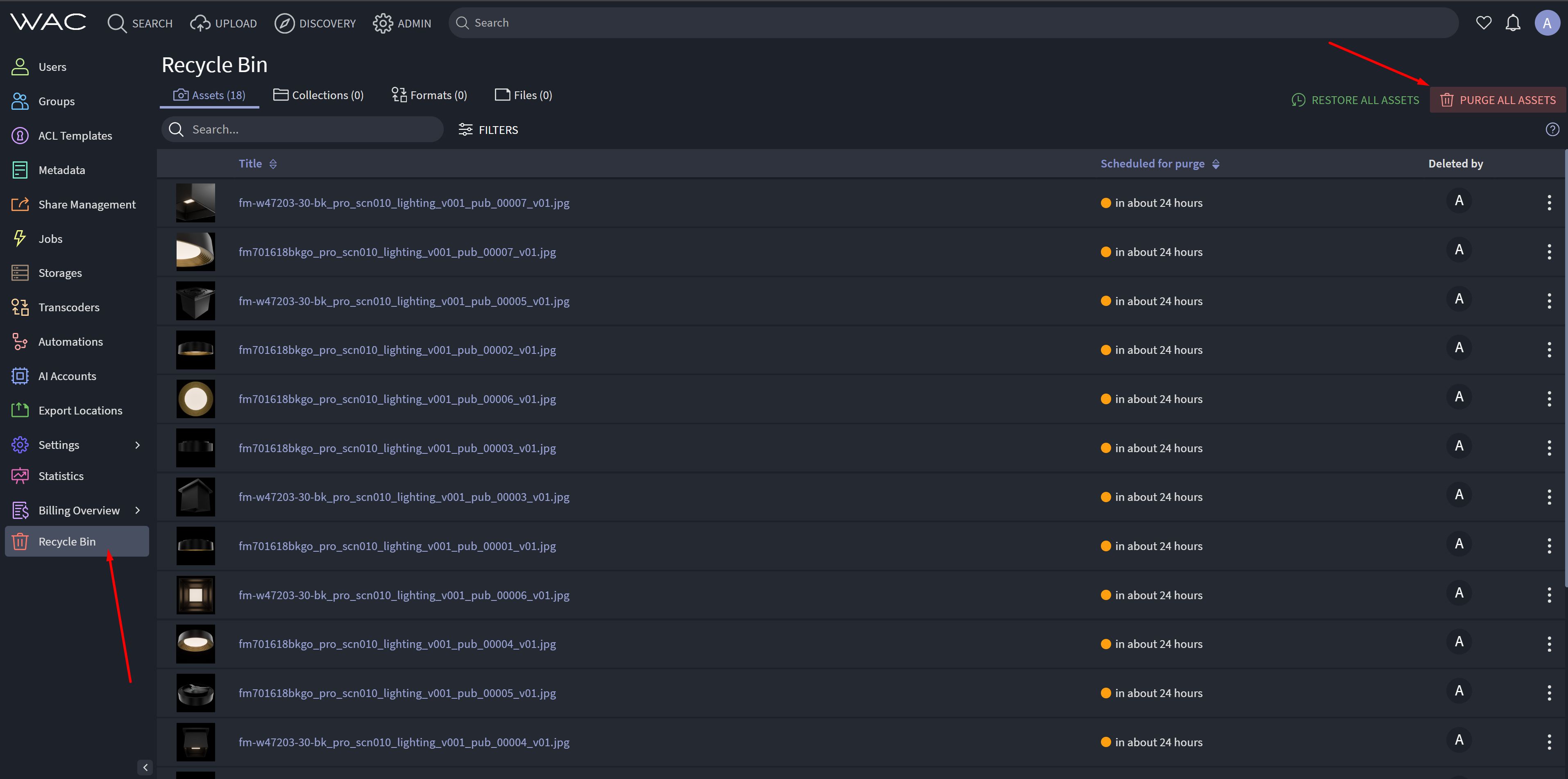 Iconik Admin Recycle Bin Purge All Assets